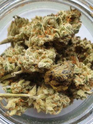 The best place to buy Elmer's Glue weed strain UK, Elmer's Glue strain for sale, Elmer's Glue bud strain, mac one strain, cereal milk uk